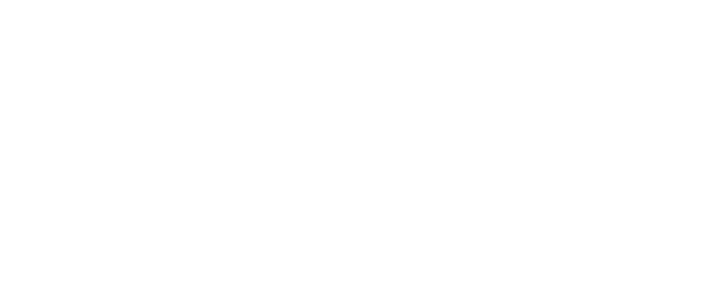 Brand of Sandro Logo Bizandoo white